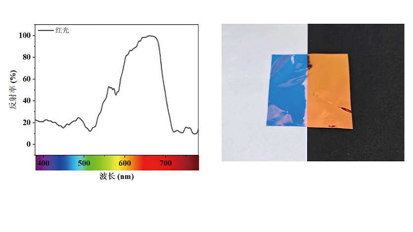 1757330977253784.png pro_img2.png